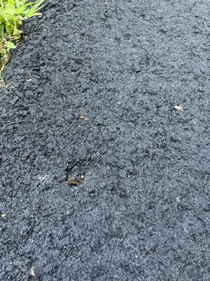 Kisha M driveway project